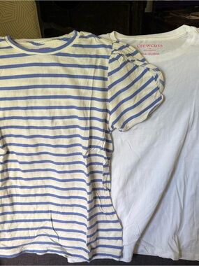 Lot of 2 crewcuts Girls' Blue Stripe Tee and White Tee Set